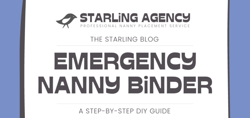 DIY Emergency Nanny Binder